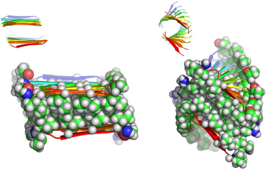科研进展:南京大学董昊教授和王炜教授课题组合作在功能多肽自组装领域取得新进展(图1)