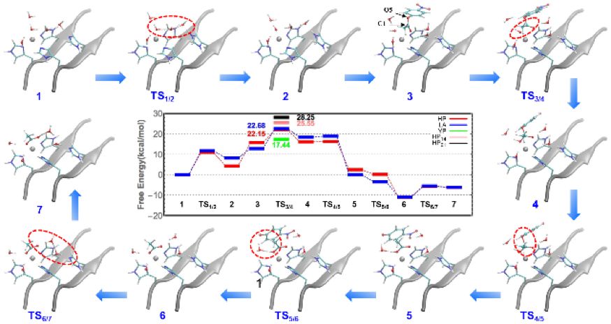 科研进展:南京大学董昊教授和王炜教授课题组合作在功能多肽自组装领域取得新进展(图2)