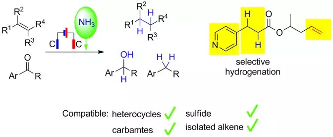 科研进展:南京大学程旭课题组报道氨气作为氢源的电化学氢化反应(图2)